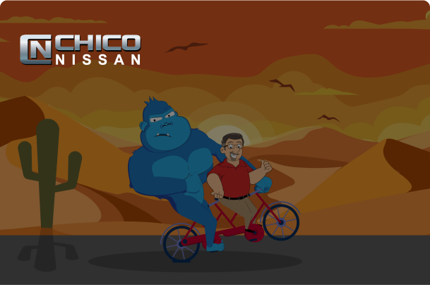 Chico Nissan