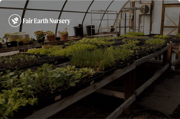 Fair Earth Nursey