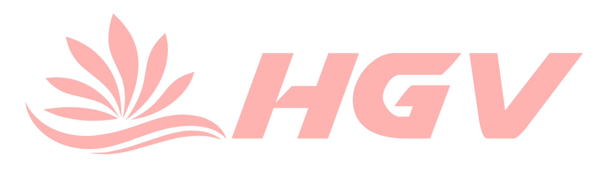 MASTER-HGV-LOGOS 4